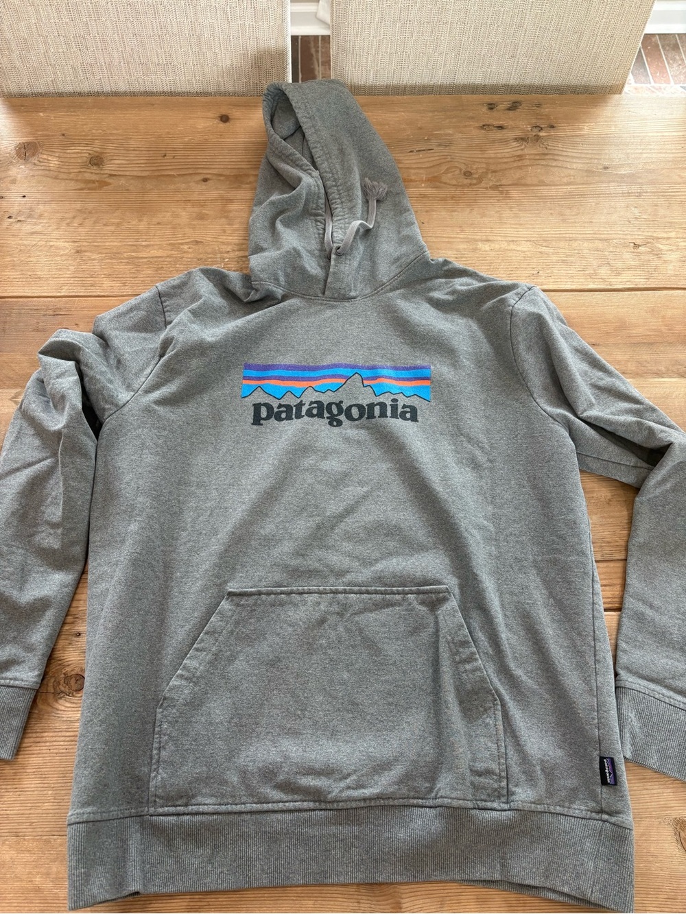Patagonia Gray Hooded Sweatshirt with Multicolor Graphic